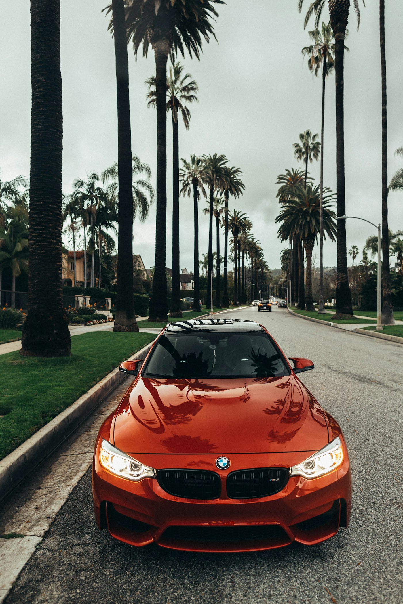 Deep gloss coupe detailed on a palm lined street