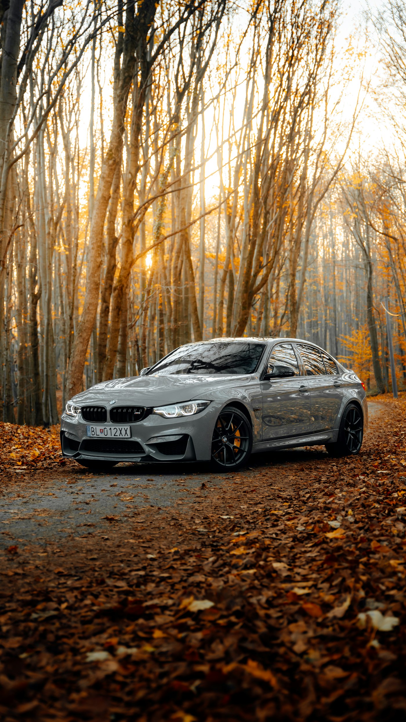 Sedan with wet look ceramic gloss